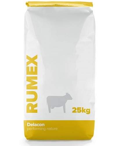 Rumex SC